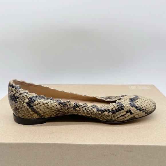 Chloe Lauren Scalloped Ballet Shoes Flats Dark Greige Snakeskin Leather US 35.5